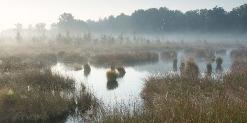 Vernattingsplannen Haaksbergen