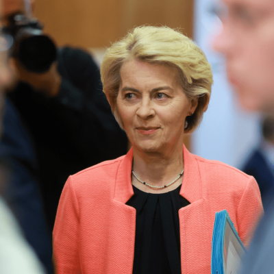 bestrijding desinformatie-min