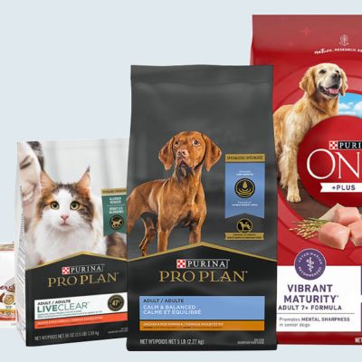 Huisdieren-overgeleverd-aan-twee-multinationals