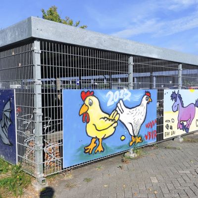 Onderzoekers botsen over vogelgriep-experiment in Lelystad
