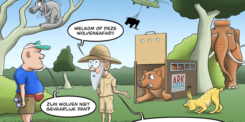 Belgische ‘wolvenknuffelaar’ noemt Nederlands beleid rond roofdier “zootje ongeregeld”