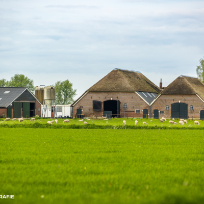 Gelderland verzint eigen stikstofregels