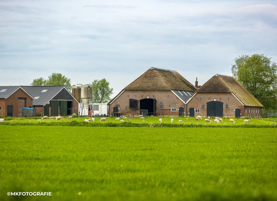 gelderland-verzint-eigen-stikstofregels